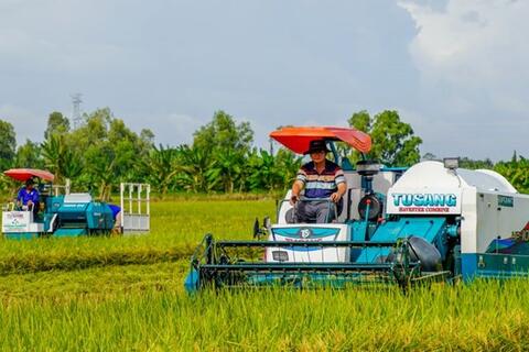 Nông dân Cần Thơ liên kết làm giàu