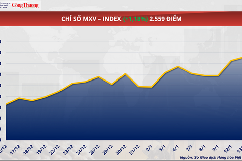 Giá ca cao đảo chiều giảm sâu trước tín hiệu cung vượt cầu