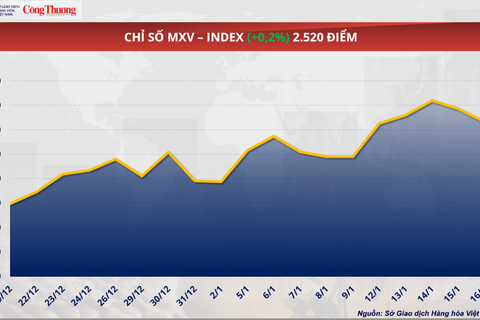 Giá ca cao phục hồi lên vùng 5.000 USD/tấn
