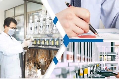 Chính sách đặc biệt nhằm thu hút nhân tài trong lĩnh vực chuyển đổi số