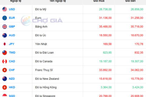 Tỷ giá USD hôm nay 25/2/2026: Ngân hàng nhích nhẹ