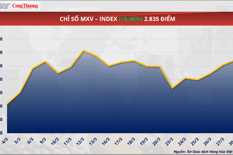 Thị trường kim loại quốc tế đồng loạt tăng giá
