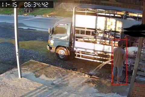 Công khai rao mua lợn bệnh giữa cao điểm dịch