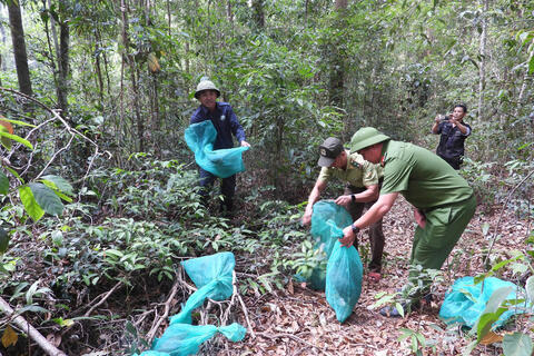 Gia Lai: Thả tê tê Java cùng nhiều động vật nguy cấp về rừng tự nhiên