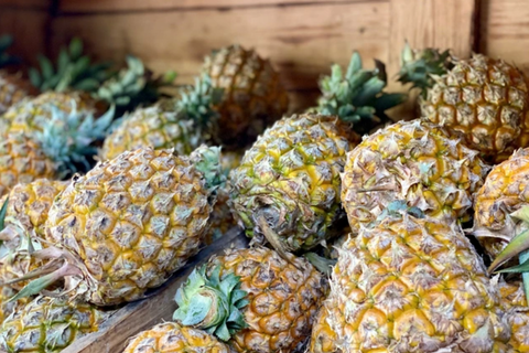 Giá nông sản hôm nay 16/4/2026: Nhiều mặt hàng biến động mạnh