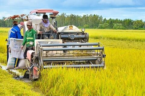 Sản xuất nông nghiệp phục hồi, nuôi trồng thủy sản tiếp tục khởi sắc