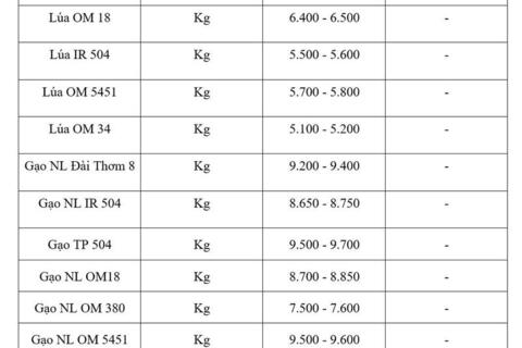 Giá lúa gạo hôm nay ngày 8/6/2026: Tấm thơm giảm  nhẹ