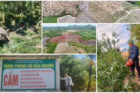 Nắng nóng đỉnh điểm, cửa rừng phòng hộ ở Hà Tĩnh vẫn ‘mở toang’