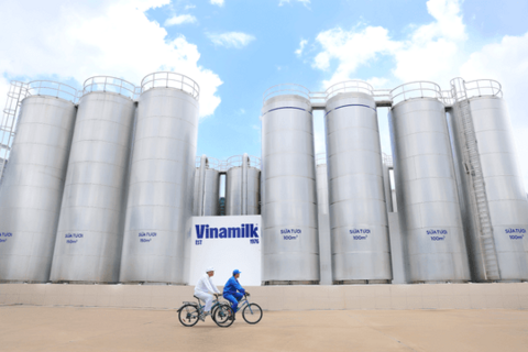 50 năm Vinamilk: Hành trình không ngừng nâng chuẩn