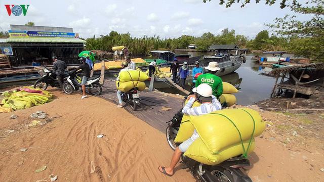 Người Cà Mau thu nhập khá từ nghề tải lúa trong mùa khô hạn - Ảnh 7. Người Cà Mau thu nhập khá từ nghề tải lúa trong mùa khô hạn - Ảnh 7.