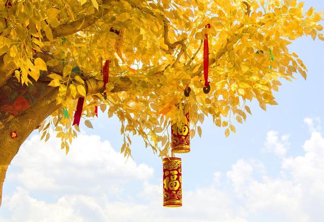 Rước lộc Thần Tài tại Ngày hội Vàng của DOJI - Ảnh 4. Rước lộc Thần Tài tại Ngày hội Vàng của DOJI - Ảnh 4.