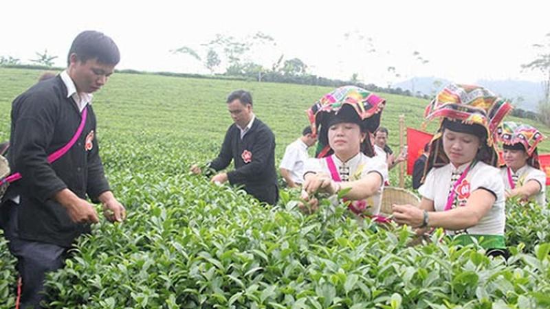 Sắc màu nông thôn mới ở huyện nghèo miền núi