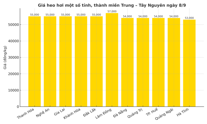 Biểu đồ giá heo hơi một số tỉnh, thành miền Trung – Tây Nguyên ngày 8/9.