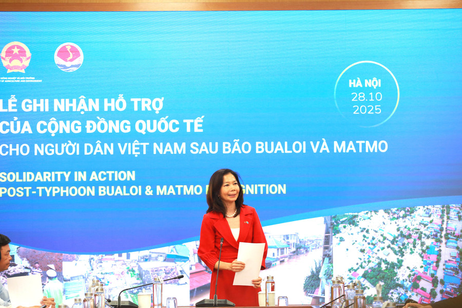 Bà Pauline Tamesis, Điều phối viên thường trú Liên hợp quốc tại Việt Nam. 5.jpg