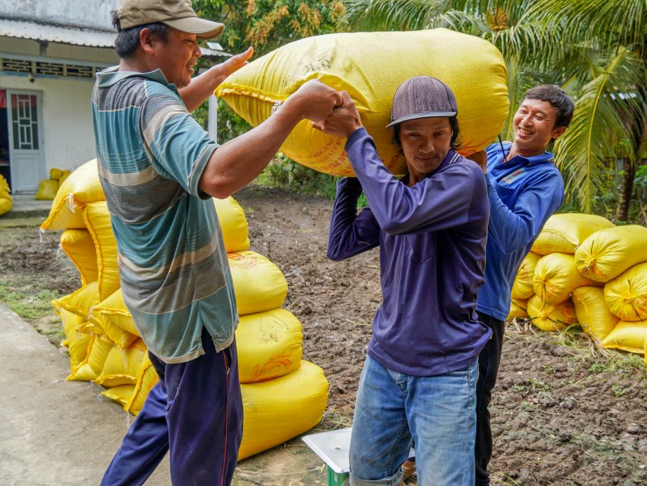 Dù công việc nặng nhọc nhưng nụ cười luôn thường trực bởi năm nay lúa không chỉ trúng mùa mà còn “trúng giá” đậm.