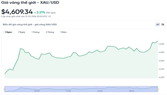 Diễn biến giá vàng thế giới trong 24h qua. bieudogiavang131.jpg