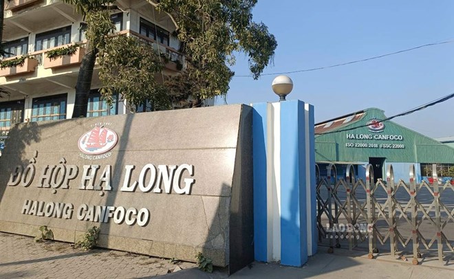 Vụ đồ hộp Hạ Long: Những người liên quan nên ra đầu thú