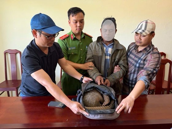 Mang tê tê đi bán, nam thanh niên bị phát hiện, bắt quả tang