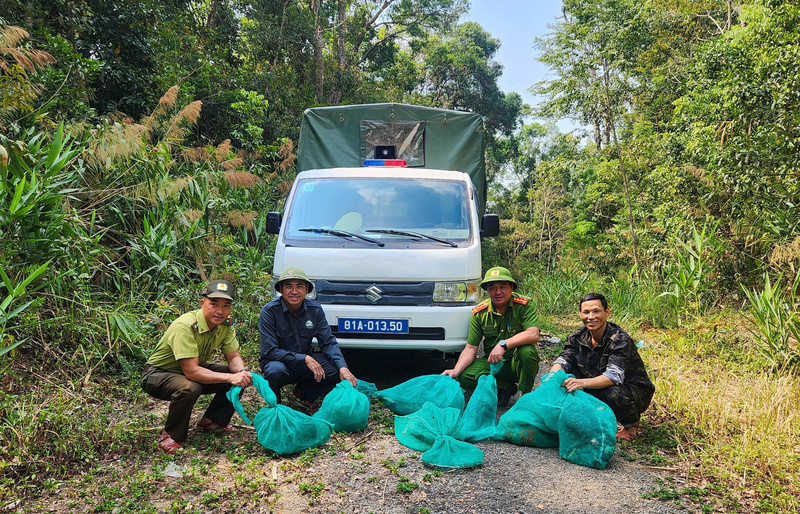 Trung tâm Cứu hộ, Bảo tồn và Phát triển sinh vật thuộc Vườn Quốc gia Kon Ka Kinh phối hợp thả 8 cá thể động vật rừng đủ điều kiện sức khỏe về môi trường tự nhiên.