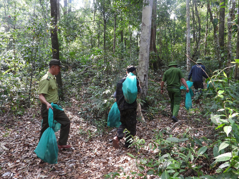 Các cá thể động vật được thả sau thời gian cứu hộ, chăm sóc và đánh giá sức khỏe theo quy trình.