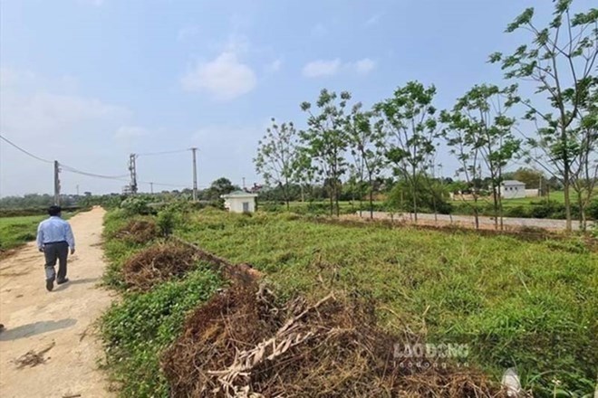 Quốc hội thảo luận 3 dự án luật liên quan đến đất đai, nhà ở