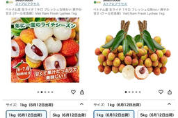 Vải thiều Việt Nam bán trên sàn Amazon Nhật Bản với giá nửa triệu đồng/kg