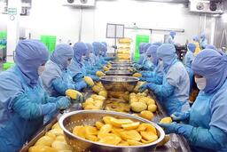 Ngân hàng sẵn sàng nguồn lực tín dụng thúc đẩy kinh tế tập thể tỉnh An Giang