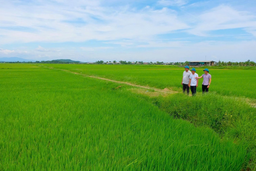 Sản phẩm OCOP mở lối thoát nghèo bền vững cho người dân tộc Vĩnh Thủy