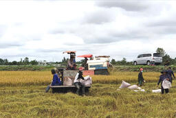 Chuyển đổi 'lấy nông dân làm trọng tâm' giúp tăng hiệu quả sản xuất