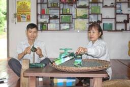 Mô hình trồng chè an toàn giúp nông dân Vô Tranh giảm nghèo bền vững
