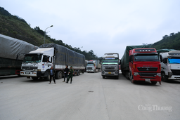 Hà Tĩnh: Nhộn nhịp hàng hóa tại cửa khẩu Cầu Treo dịp cuối năm