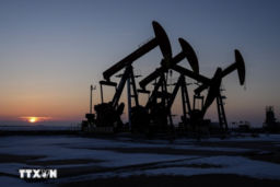 Giá dầu tăng trở lại nhờ yếu tố cung - cầu 