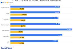 Ngày 13/2: Tỷ giá trung tâm giảm 1 đồng
