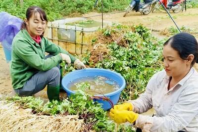 <a href="/ban-nha-nong" title="Bạn nhà nông" rel="dofollow">Bạn nhà nông</a>