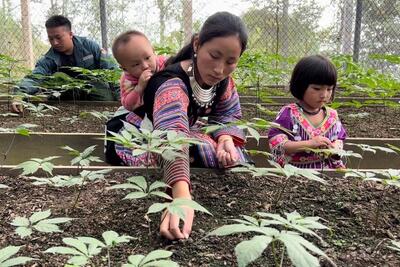<a href="/ban-nha-nong" title="Bạn nhà nông" rel="dofollow">Bạn nhà nông</a>
