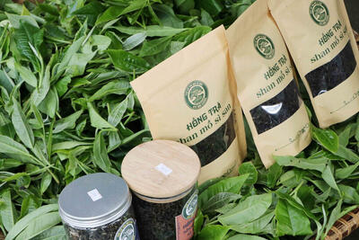 <a href="/ban-nha-nong" title="Bạn nhà nông" rel="dofollow">Bạn nhà nông</a>