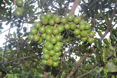 <a href="/ban-nha-nong" title="Bạn nhà nông" rel="dofollow">Bạn nhà nông</a>