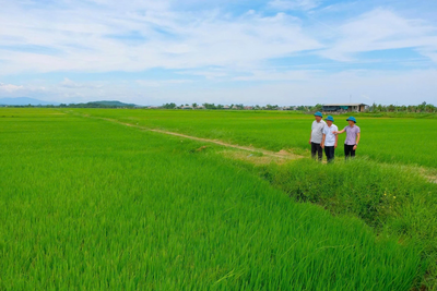 <a href="/ban-nha-nong" title="Bạn nhà nông" rel="dofollow">Bạn nhà nông</a>