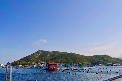 <a href="/ban-nha-nong" title="Bạn nhà nông" rel="dofollow">Bạn nhà nông</a>