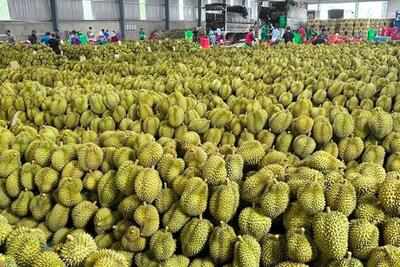 <a href="/thi-truong" title="Thị trường" rel="dofollow">Thị trường</a>