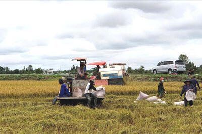 <a href="/ban-nha-nong" title="Bạn nhà nông" rel="dofollow">Bạn nhà nông</a>