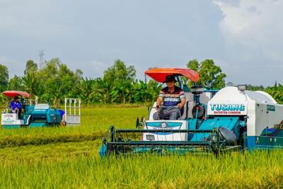 <a href="/ban-nha-nong" title="Bạn nhà nông" rel="dofollow">Bạn nhà nông</a>