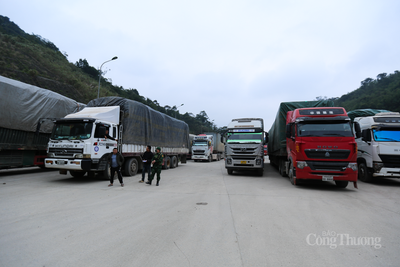 <a href="/thi-truong" title="Thị trường" rel="dofollow">Thị trường</a>