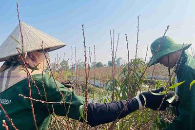 <a href="/ban-nha-nong" title="Bạn nhà nông" rel="dofollow">Bạn nhà nông</a>