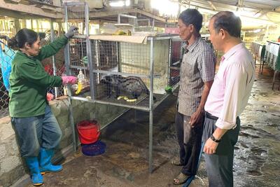 <a href="/chinh-sach2" title="Chính sách" rel="dofollow">Chính sách</a>