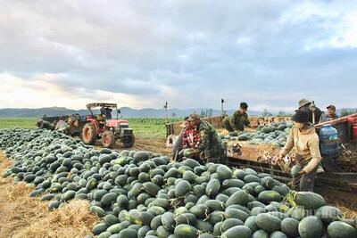 <a href="/ban-nha-nong" title="Bạn nhà nông" rel="dofollow">Bạn nhà nông</a>