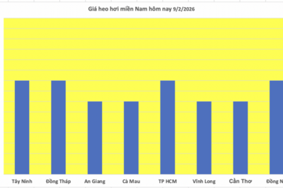 <a href="/thi-truong" title="Thị trường" rel="dofollow">Thị trường</a>