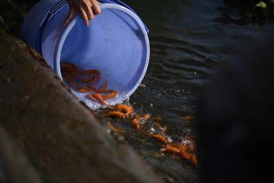 <a href="/tin-tuc" title="Tin tức" rel="dofollow">Tin tức</a>