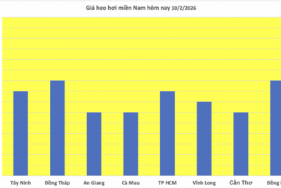 <a href="/thi-truong" title="Thị trường" rel="dofollow">Thị trường</a>