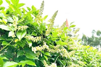 <a href="/ban-nha-nong" title="Bạn nhà nông" rel="dofollow">Bạn nhà nông</a>